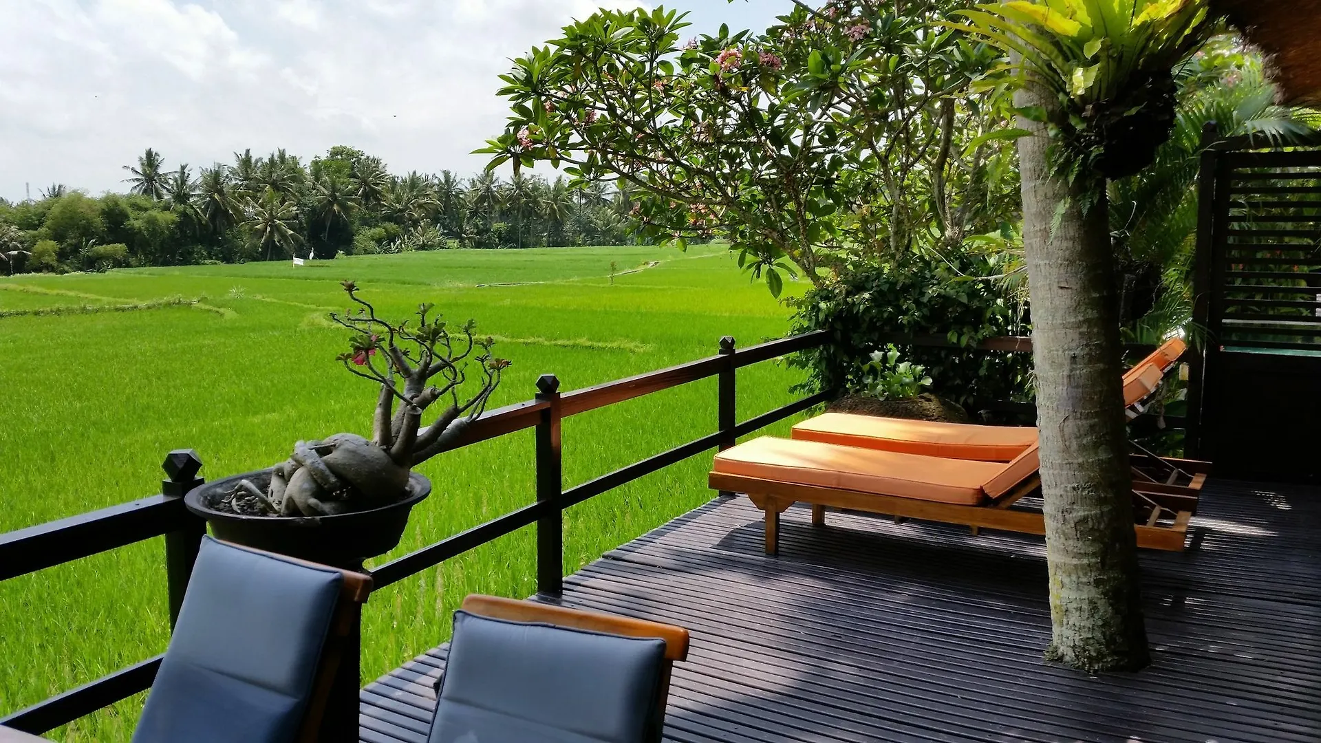 Tatil parkı Lodtunduh Sari Otel Ubud